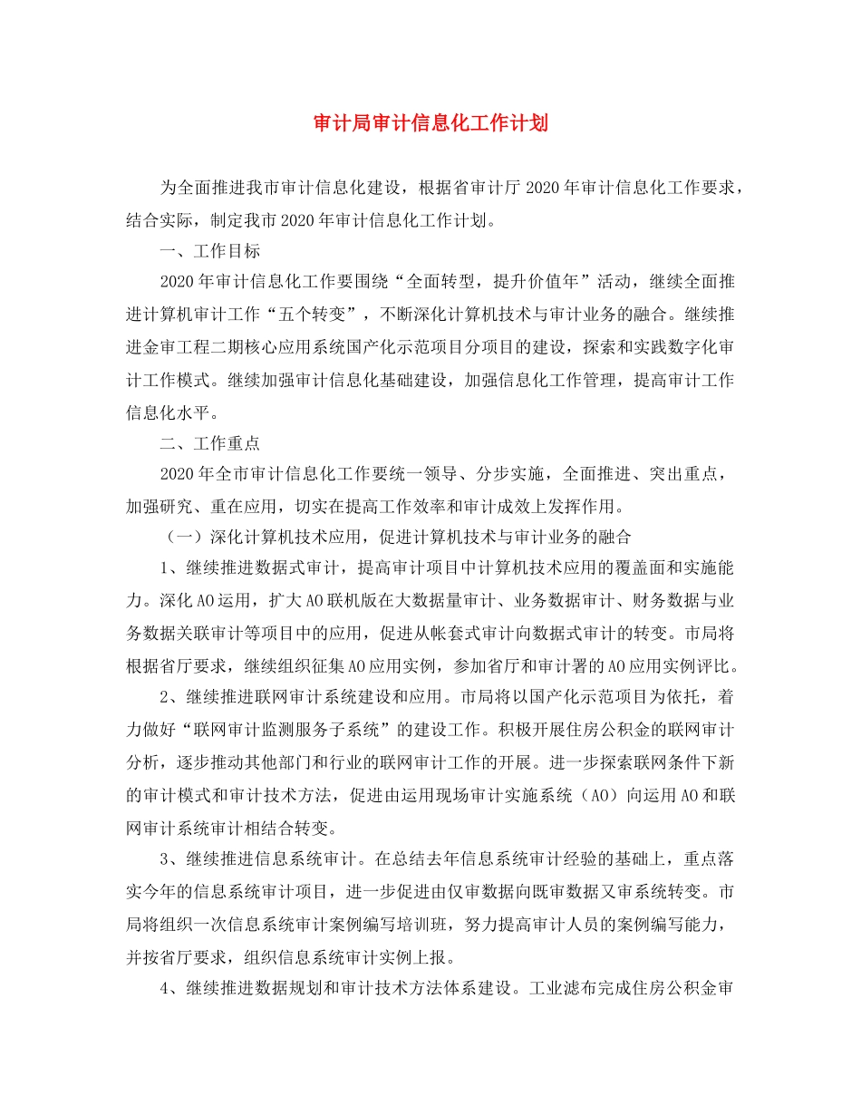 审计局审计信息化工作计划 _第1页