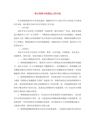 审计局审计信息化工作计划 