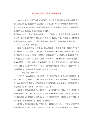 审计局办公室主任个人工作总结报告 