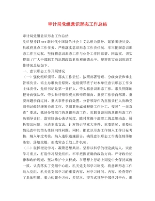 审计局党组意识形态工作总结 