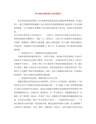 审计局党支部年度工作总结范文 