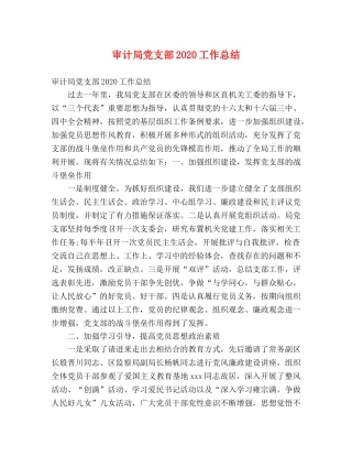 审计局党支部2020工作总结 