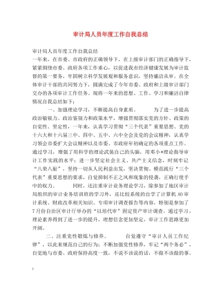审计局人员年度工作自我总结 
