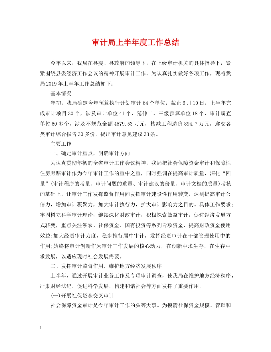 审计局上半年度工作总结 _第1页