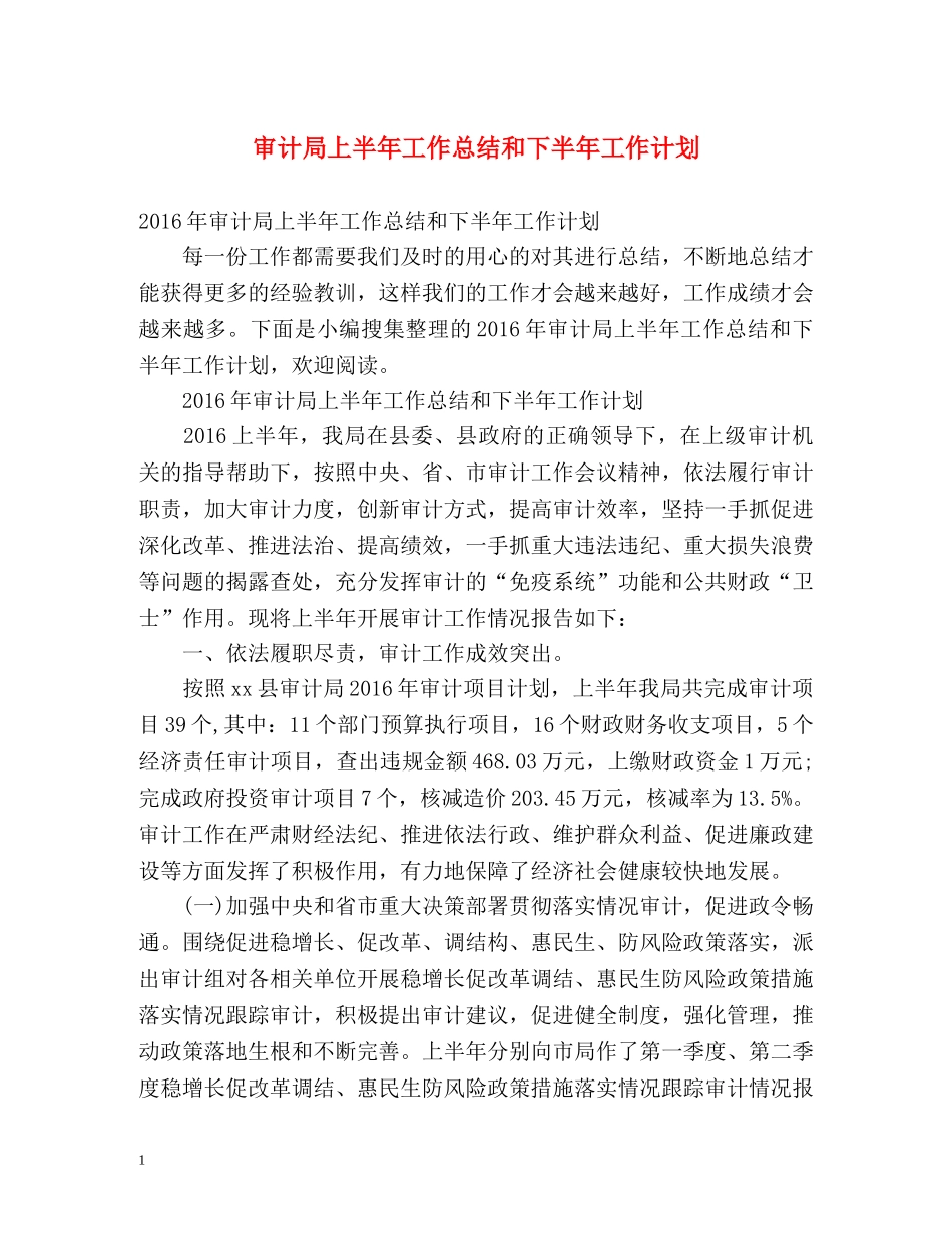 审计局上半年工作总结和下半年工作计划 _第1页