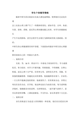 学生个体辅导策略