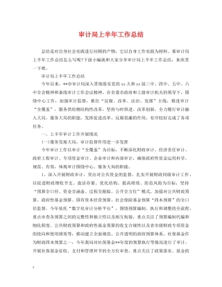 审计局上半年工作总结2 