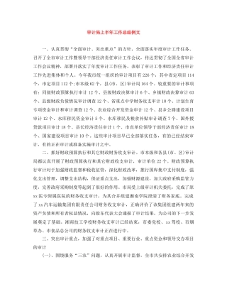 审计局上半年工作总结例文 