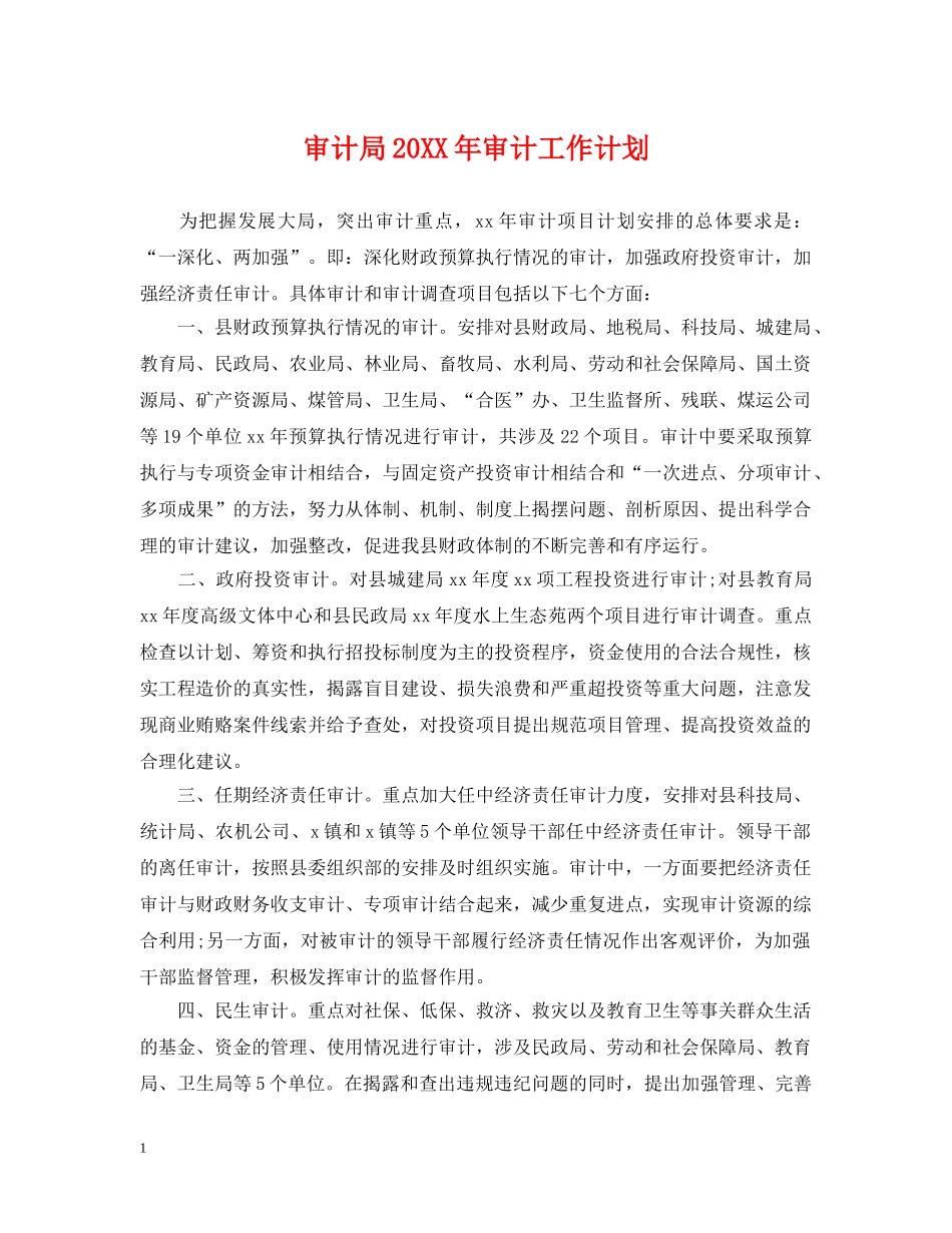 审计局20XX年审计工作计划 _第1页