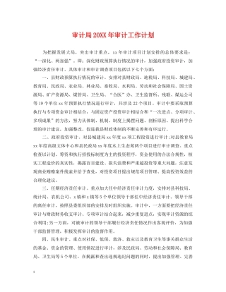 审计局20XX年审计工作计划 