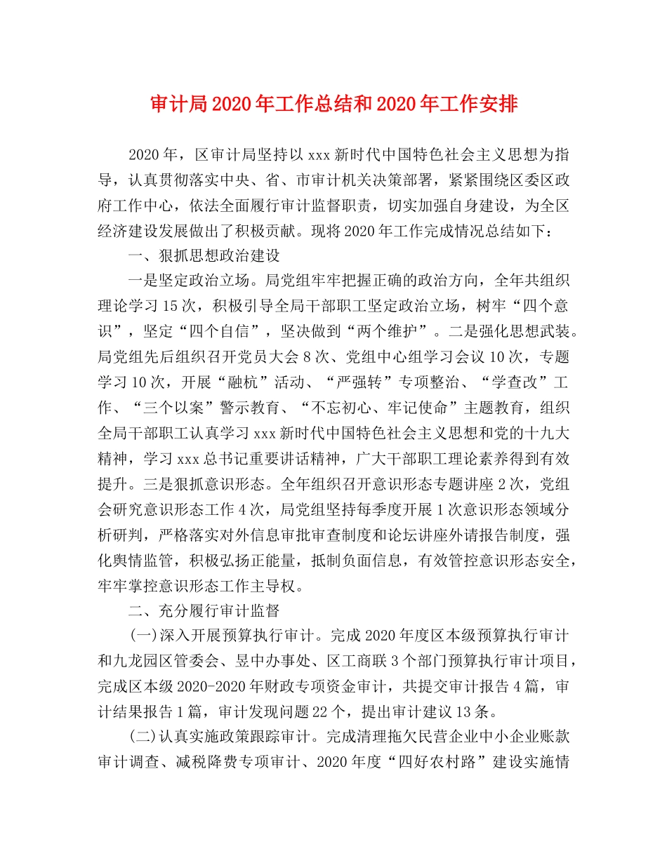 审计局2020年工作总结和2020年工作安排 _第1页