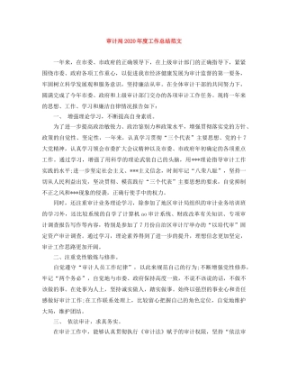 审计局2020年度工作总结范文 