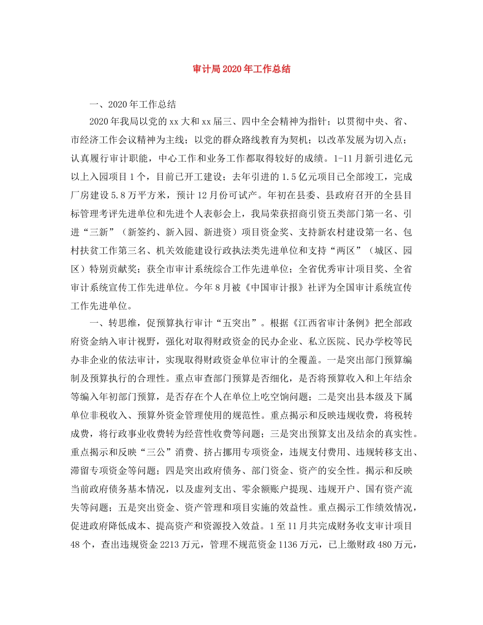 审计局2020年工作总结 _第1页