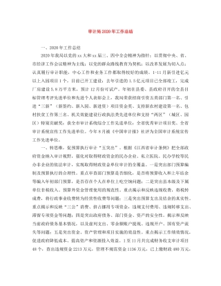 审计局2020年工作总结 