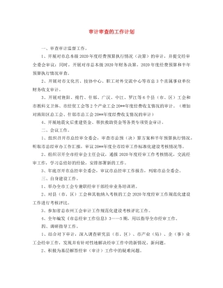 审计审查的工作计划 