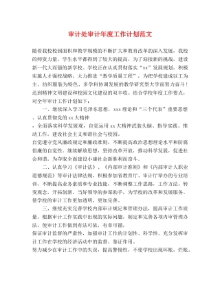 审计处审计年度工作计划范文 
