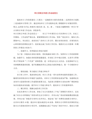 审计员转正申请工作总结范文 