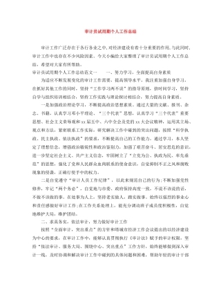 审计员试用期个人工作总结 