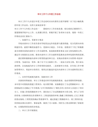 审计工作个人年度工作总结