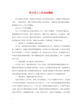 审计员工工作总结模板 