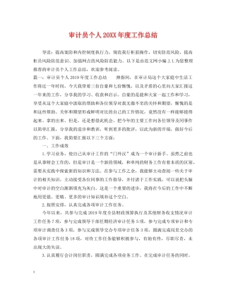 审计员个人20XX年度工作总结 