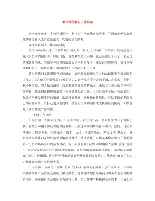 审计单位新人工作总结 