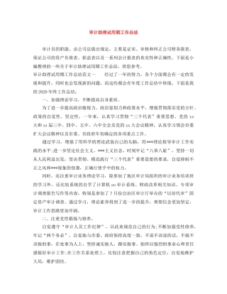 审计助理试用期工作总结 