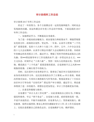 审计助理终工作总结 