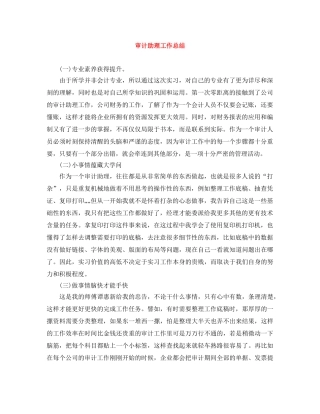 审计助理工作总结 