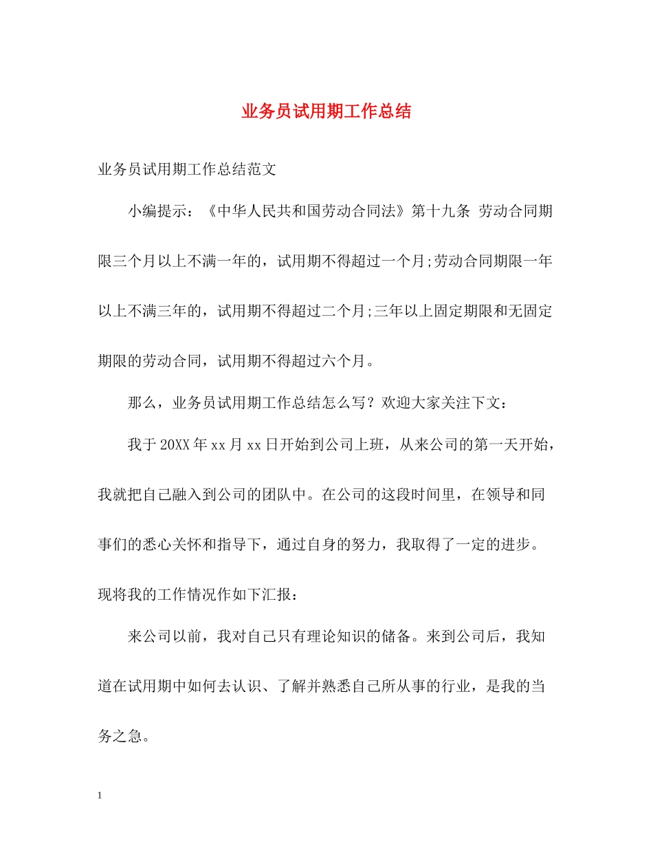 业务员试用期工作总结2_第1页
