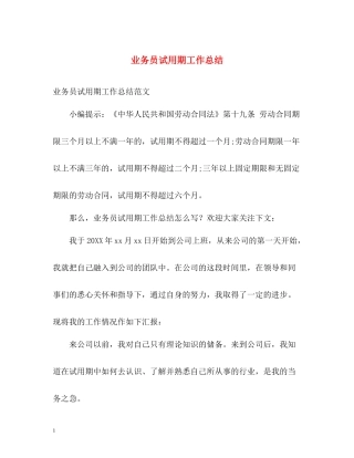 业务员试用期工作总结2