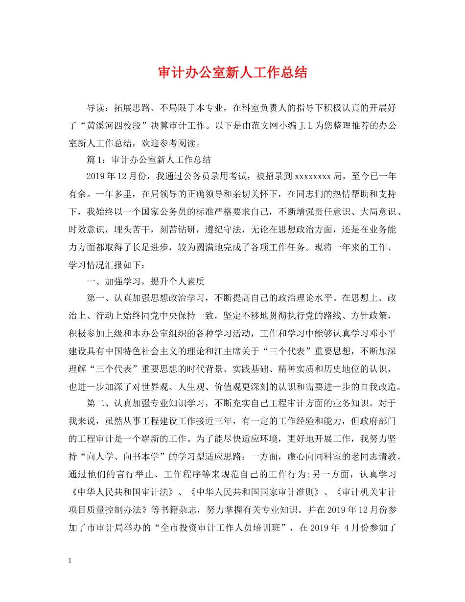 审计办公室新人工作总结 _第1页