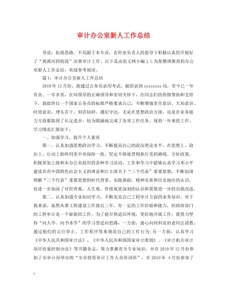 审计办公室新人工作总结 