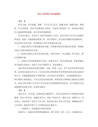 审计人员年终工作总结报告 