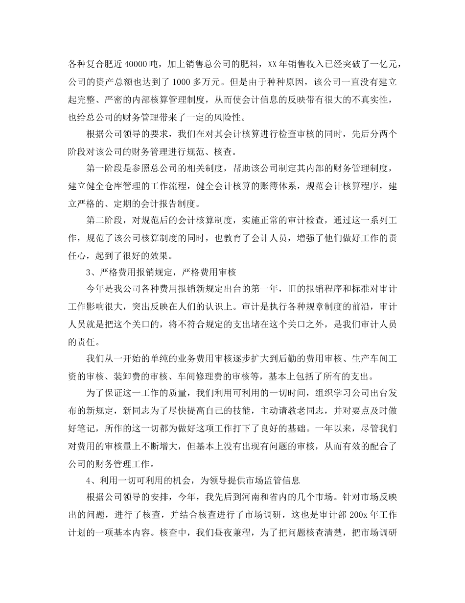审计人员年度工作总结模板 _第2页