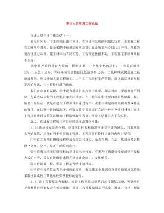 审计人员年度工作总结 