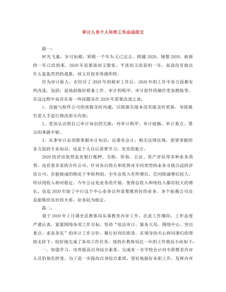 审计人员个人年终工作总结范文 