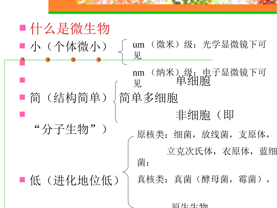 微生物与发酵工程_第2页