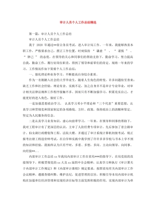 审计人员个人工作总结精选 
