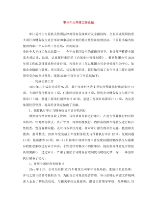 审计个人年终工作总结 