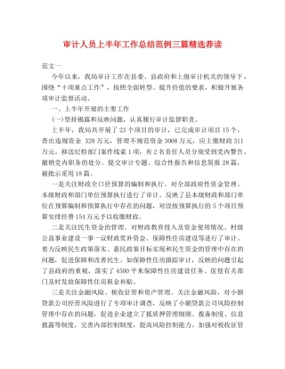 审计人员上半年工作总结范例三篇精选荐读 
