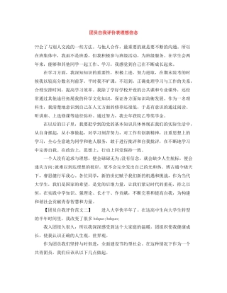 团员自我评价表理想信念