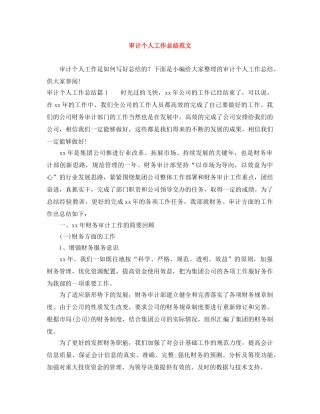 审计个人工作总结范文 