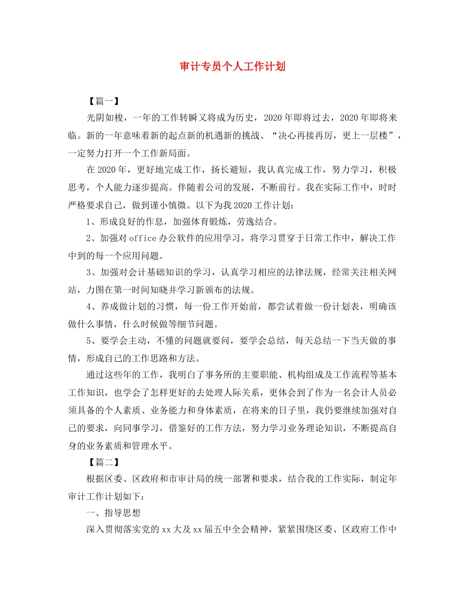 审计专员个人工作计划 _第1页