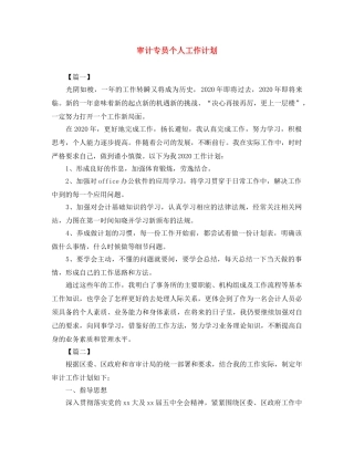 审计专员个人工作计划 