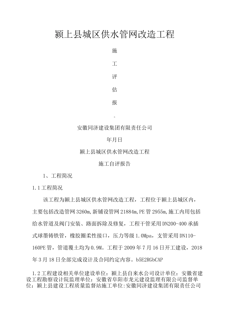 供水管网改造工程施工评估报告_第2页