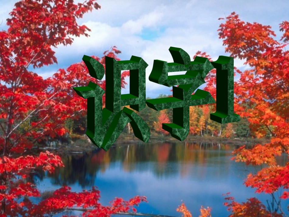 识字1 (2)_第3页