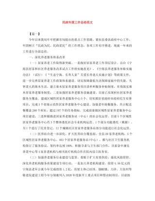 民政年度工作总结范文
