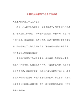 入职不久的新员工个人工作总结