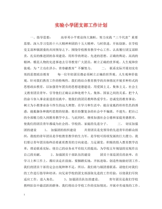 实验小学团支部工作计划 